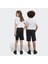 Sportswear HY4718 Essentials Big Logo Cotton Shorts 2