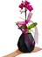 Mini Mor Orkide Diamond Black Phalaenopsis &iç Mekan Bitkileri Hediye Çiçek 20 cm 3
