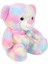 Sunman 4771 Gökkuşağı Renkli Peluş Ayı 45 cm -Sunman 2