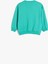 5Wmb10197Tk 681 Turkuaz Erkek Bebek Sweatshirt 2