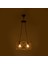 Nisa Luce Zambak 2'li Sıralı Avize - Eskitme - 75X50X50 cm 2
