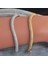 1 Adet Altın Rengi--3 Jınju Lüks Altın Renk Charm Bilezikler Kadınlar Için Bakır Kübik Zirkonya Manşet Braclet Femme Dubai Moda Takı (Yurt Dışından) 4