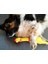 Öten Tavuk Köpek Oyuncağı Orta Boy 3