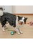 Silikon Toplu Çekiştirme Köpek Oyuncağı 1