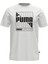 Graphıcs Puma Box Tee Erkek T-Shirt 1