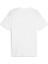 Graphıcs Puma Box Tee Erkek T-Shirt 2