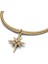 Gold Renk Işıltılı Kuzey Yıldızı Sallantılı Charm 3