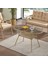 Rio Rattan Bahçe Balkon Oturma Takımı 2+1+1+Camlı Masa Cappuccino 4