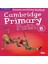 Cambridge Primary Path Grammer And Writing Workbook 6 1