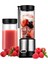 Rose Teknoloji Acl Şarjlı Taşınabilir Taşınabilir 450ML Hacimli 380ML Bardaklı Bu Kırabilen Blender 2