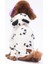Pofi Panda Peluş Kedi Köpek Tulumu 1