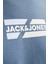 Jjecorp Graphıc Tee Ss O-Neck Noos Bulut 4