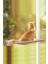 Pet Zoom Cama Yapışan Kedi Yatağı (Yurt Dışından) 1