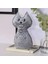Kedi Nem Alıcı 1 kg 2