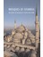 Mosques Of Istanbul / Including The Mosques Of Bursa And Edirne - Henry Matthews 1