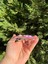 Kabartmalı Yüzen Simli Apple iPhone Kılıf - Cute Series 3