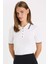 Regular Fit Polo Yaka Düğmeli Basic Düz Kısa Kollu Triko Kazak D3300AX24AU 1