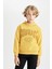 Erkek Çocuk Oversize Geniş Kalıp Baskılı Kapüşonlu Kalın Sweatshirt D3094A824AU 3