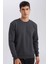 Regular Fit Bisiklet Yaka Jakarlı Sweatshirt D5394AX24AU 1