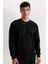 Regular Fit Bisiklet Yaka Jakarlı Sweatshirt D5394AX24AU 1