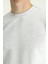 Bisiklet Yaka Regular Fit Nakışlı Pamuklu Sweatshirt 5