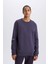 DeFactoFit Standart Fit Bisiklet Yaka Kalın Sweatshirt Y4531AZ24AU 4