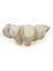 Polyester Istiridye Duvar Dekoru 24.5*36.5* 1