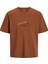 Jormanchester Scrıpt Tee Ss Crew Neck Tarçın 3