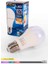 ACK 12W Günışığı LED Ampul 1075 Lümen E27 Duylu Yüksek Işık LED Lamba 2