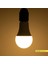 ACK 12W Günışığı LED Ampul 1075 Lümen E27 Duylu Yüksek Işık LED Lamba 3