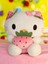 Peluş Oyuncak Hello Kitty 35 cm Pembe Yumuşak 1