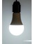 ACK 12W Beyaz Işık LED Ampul 1170 Lümen E27 Duylu Yüksek Işık LED Lamba 3