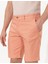Erkek Somon Regular Fit Bermuda Şort 50251541-VR047 6