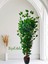 Yapay Benjamin Ağacı 1.50 mt Boy Ficus Benjamia Canlı Doku 2