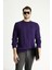 Bisiklet Yaka Slim Fit Dar Kesim Desenli Triko Kazak 3