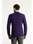 Bisiklet Yaka Slim Fit Dar Kesim Desenli Triko Kazak 5