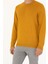 Erkek Safran Slim Fit Bisiklet Yaka Yün Karışımlı Basic Triko Kazak 50270054-VR043 6