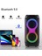 BTS-1829 100W Karaoke Ses Sistemi 2X10 Inç Rgb Efektli Party Box Mikrofonlu Bluetooth Hoparlör 3