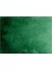 Suluboya Shinhan Pwc 577 Green Deep (Seri A) 15ML Tüp 1