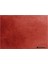 Suluboya Shinhan Pwc 514 Brown Madder (Seri C) 15ML Tüp 1