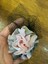 Saten Kabartma Çiçekli Tüğlü Kadın Broş Yaka Giyim Aksesuarı 15X7 cm 2