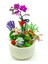 Beyaz Boncuk Saksıda Orkide Kalanchoe Sukulent Hediye Çiçek Canlı Bitki Mini Bahçe 15-20 cm 1