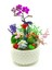 Beyaz Boncuk Saksıda Orkide Kalanchoe Sukulent Hediye Çiçek Canlı Bitki Mini Bahçe 15-20 cm 3