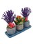 Kalanchoe ve Lavanta Bakır Mavi Trio Beton Set Saksıda & Hediye Çiçek Seti Salon Cicegi 1