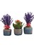 Kalanchoe ve Lavanta Bakır Mavi Trio Beton Set Saksıda & Hediye Çiçek Seti Salon Cicegi 2