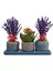 Kalanchoe ve Lavanta Bakır Mavi Trio Beton Set Saksıda & Hediye Çiçek Seti Salon Cicegi 3