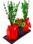 Kırmızı Siyah Beton Set Saksıda Yeşil Lavanta ve Kalanchoe Cicek Yılbaşı Süsü Sus Esyalari 15-20 cm 1