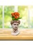 David Beton Saksıda Kalanchoe Pencere Önü Çiçeği Serisi & Hediye Iç Mekan Bitkisi & 15-20 cm 1