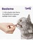 12 Adet x Spelly Premium Yetişkin Kedi Yaş Mama - Tavuk (85GR) 4