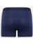 Regular Fit 3'lü Boxer C3275AX25SP 3